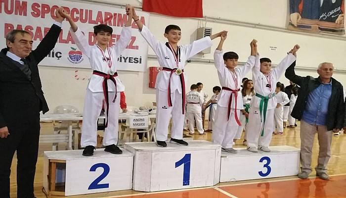 Bayramiç’te Cumhuriyet Kupası Taekwondo Şampiyonası