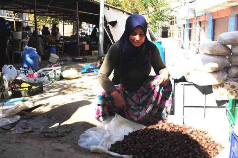 Kazdağı Kestanesi, Geçim Kaynakları Oldu