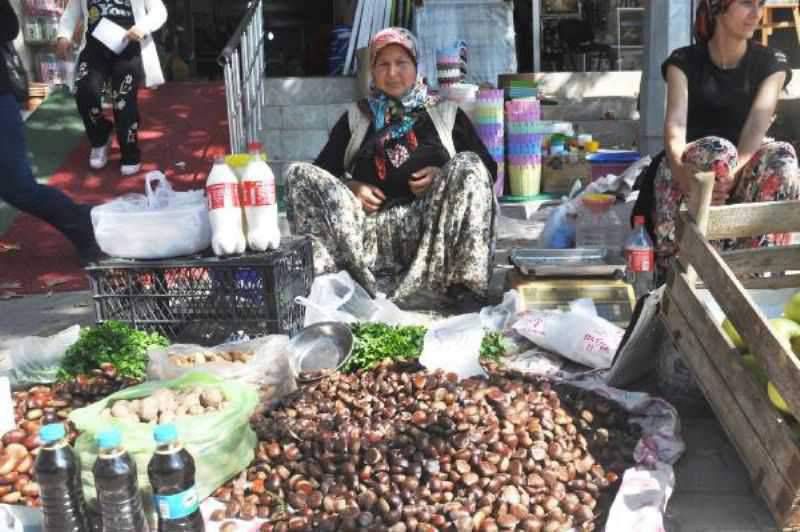 Kazdağı Kestanesi, Geçim Kaynakları Oldu