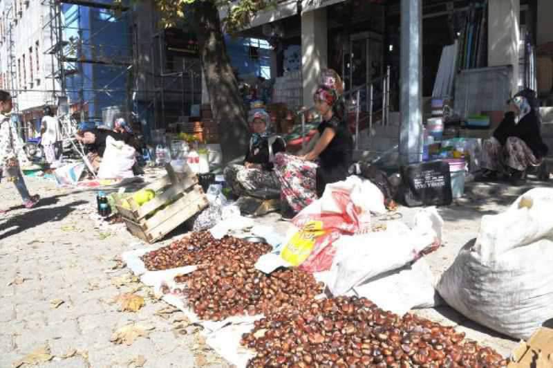 Kazdağı Kestanesi, Geçim Kaynakları Oldu