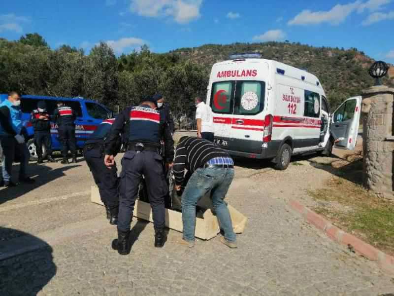 Ayvacık'ta Trafik Kazası: 3 Ölü 1 Ağır Yaralı