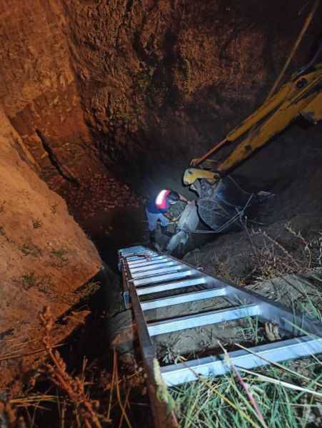 15 Metrelik Çukura Düşen Eşek, İş Makinesiyle Çıkarıldı