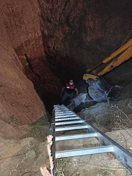 15 Metrelik Çukura Düşen Eşek, İş Makinesiyle Çıkarıldı