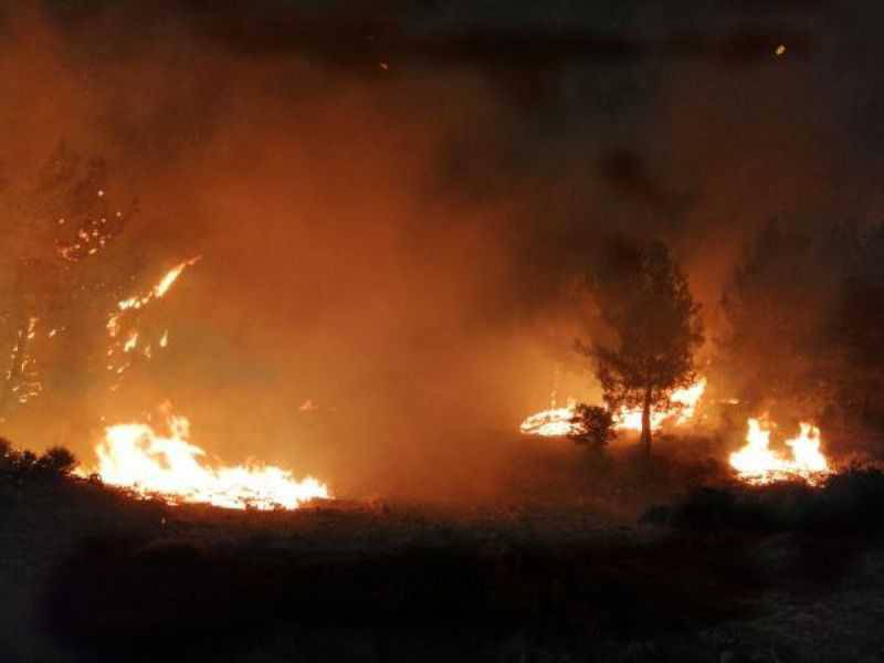 Tarihi Gelibolu Yarımadası'nda Orman Yangını