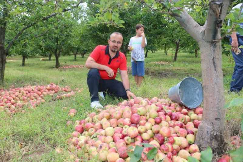 AK Partili Turan: Bırakın Krizi, Çalışan İnsan Emeğinin Karşılığını Buluyor