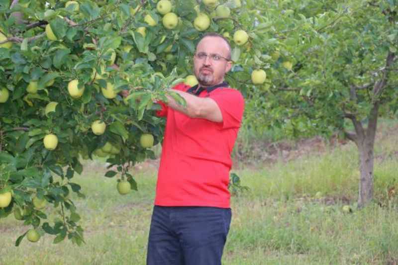 AK Partili Turan: Bırakın Krizi, Çalışan İnsan Emeğinin Karşılığını Buluyor