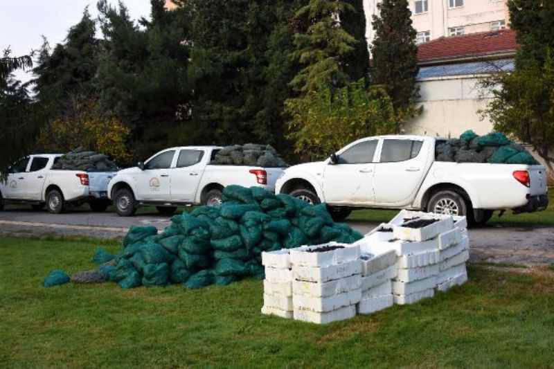 Çanakkale'de Kaçak Avlanan Tonlarca Deniz Ürünü Ele Geçirildi