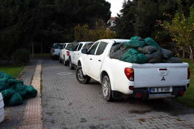 Çanakkale'de Kaçak Avlanan Tonlarca Deniz Ürünü Ele Geçirildi