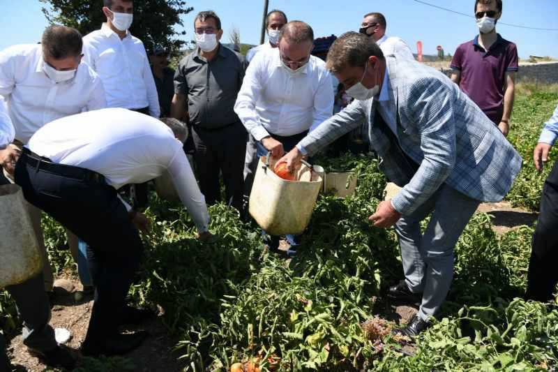 Kalkınma Birlikte Olur, Kardeşlik Birlikte Olur