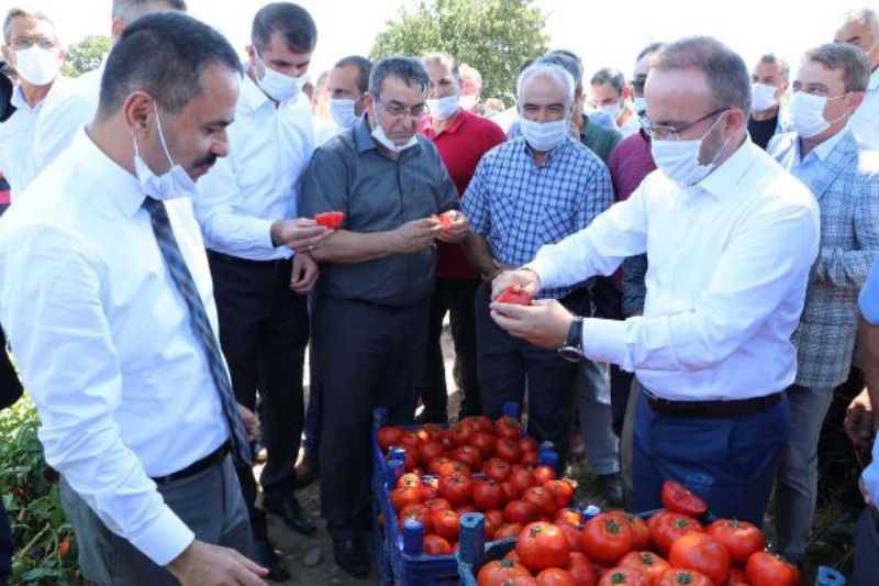 Kalkınma Birlikte Olur, Kardeşlik Birlikte Olur