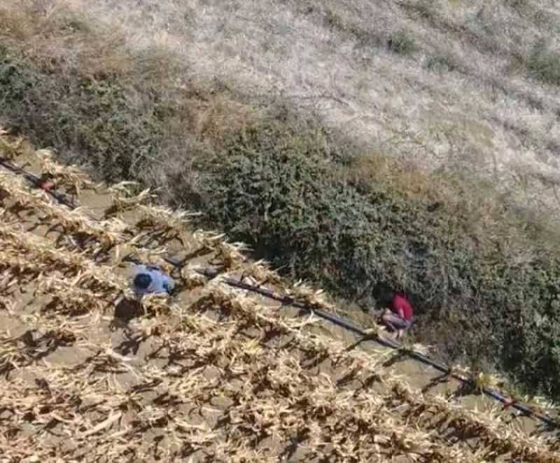 Cezaevi Firarisi, Tarlada Drone İle Yeri Belirlenip Yakalandı