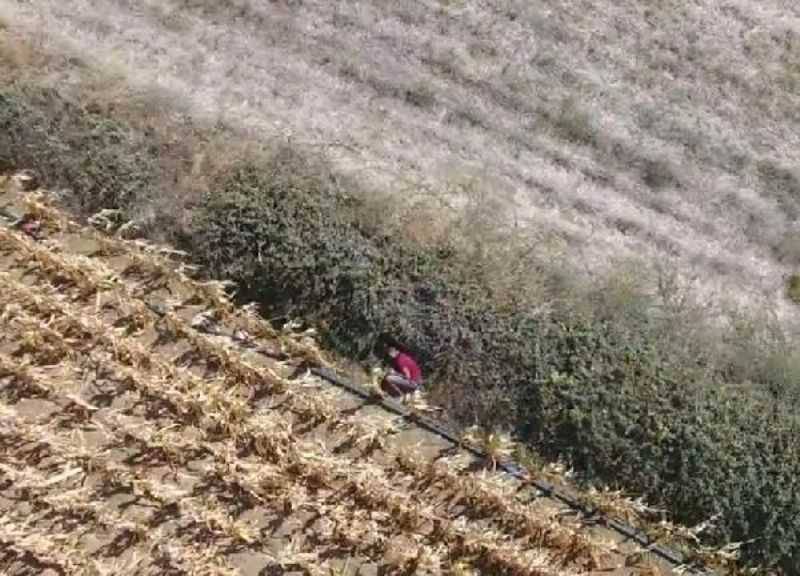Cezaevi Firarisi, Tarlada Drone İle Yeri Belirlenip Yakalandı