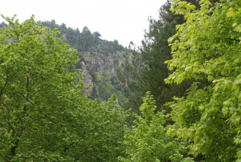 Kaz Dağları / Ayazma