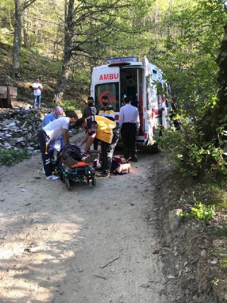 Kazdağları'nda Freni Boşalan Hafif Ticari Araç Şarampole Yuvarlandı: 1 Ölü, 3 Yaralı