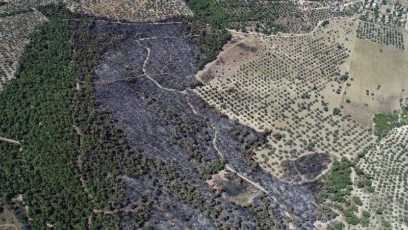 Ezine’de Yanan Ormanlık Alan Havadan Görüntülendi