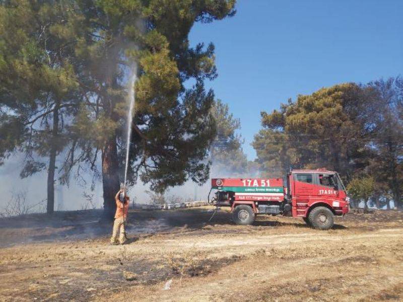 Çanakkale'de Orman Yangını