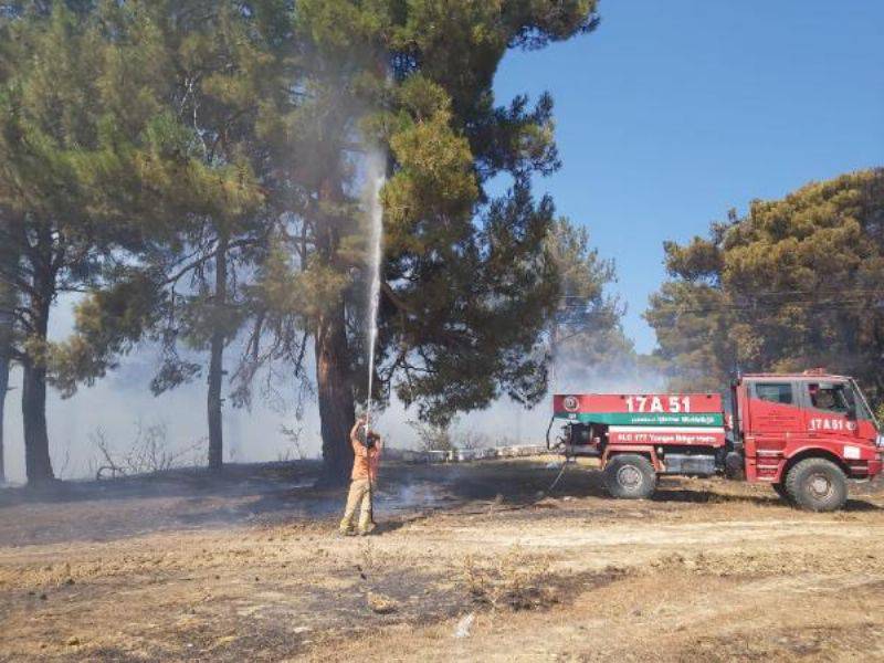 Çanakkale'de Orman Yangını