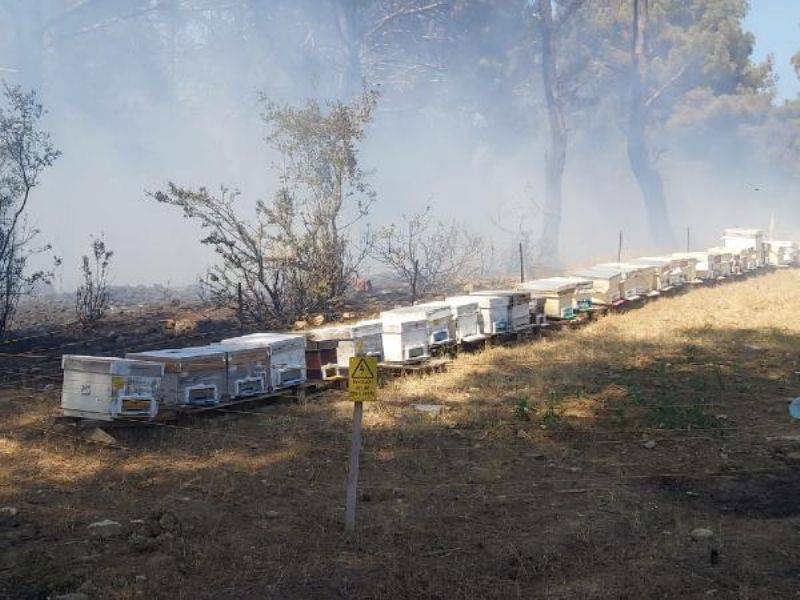 Çanakkale'de Orman Yangını