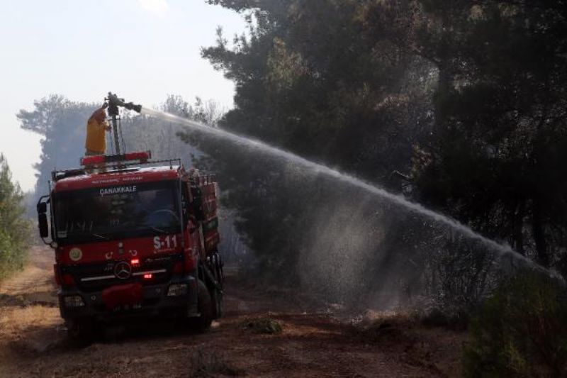 Bayramiç'te Orman Yangını
