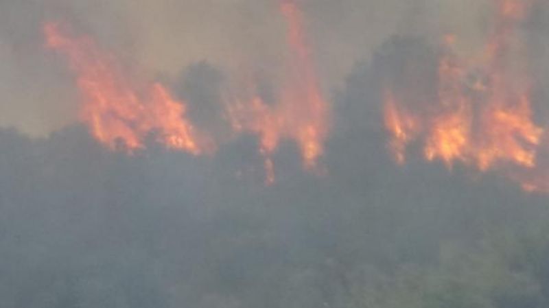 Bayramiç'te Orman Yangını