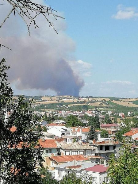 Bayramiç'te Orman Yangını