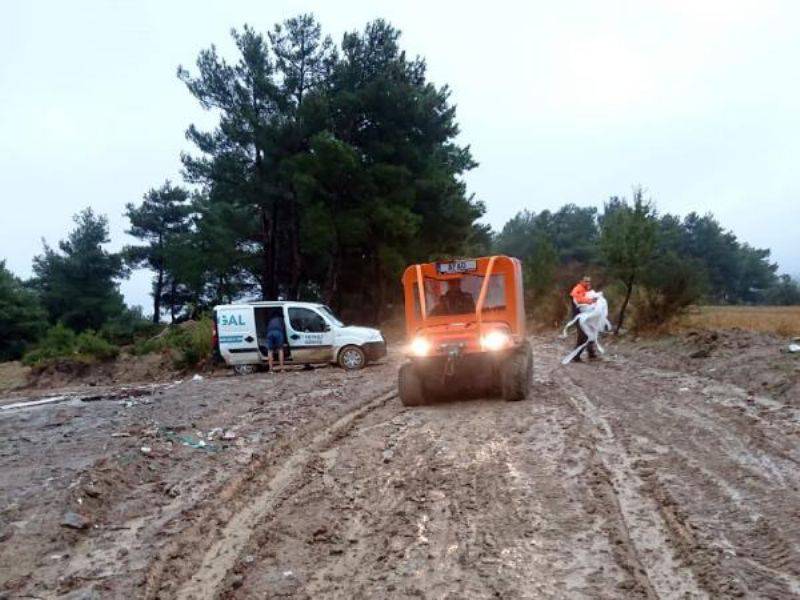 Sağanakta Dağlık Alanda Kalanları AFAD Ekibi Kurtardı