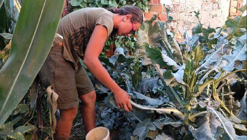 İsviçre Yerine Kaz Dağları'ndaki Doğal Yaşamı Tercih Ettiler 