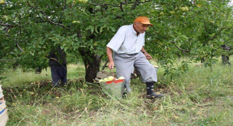 Tescilli Bayramiç Beyazı ve Elması