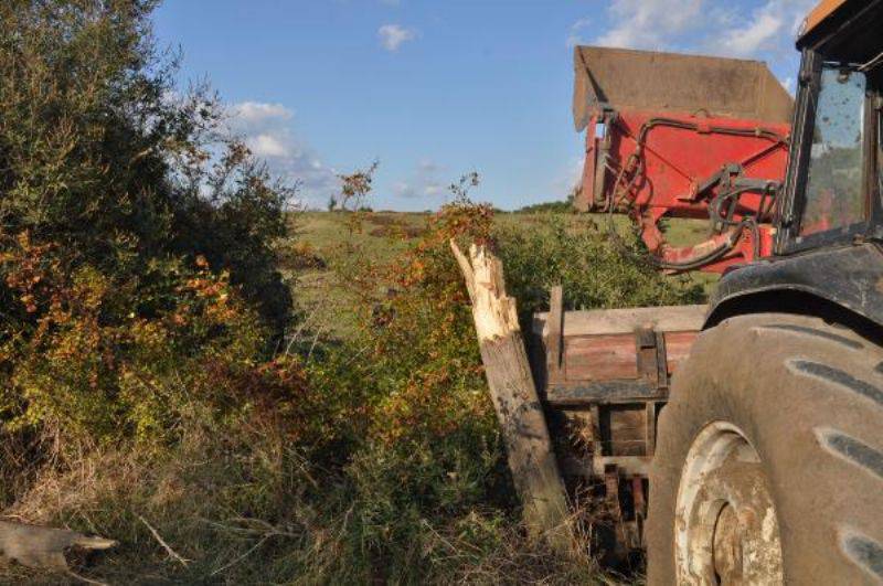 Traktörün Altında Kalan Suriyeli Hilef, Ağır Yaralandı