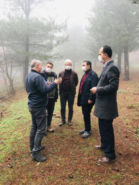 Bal Ormanları İlçe Ekonomisini Canlandıracak