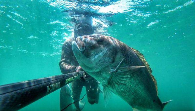 Kendisinden Yaşlı 12 Kiloluk Balığı Avladı