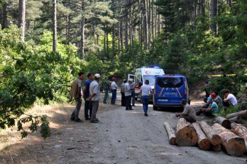Devrilen Traktörün Altında Kalan Orman İşçisi Öldü