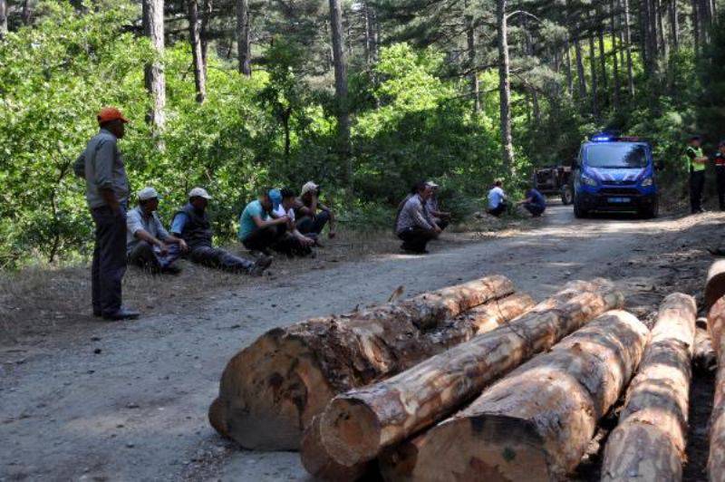 Devrilen Traktörün Altında Kalan Orman İşçisi Öldü