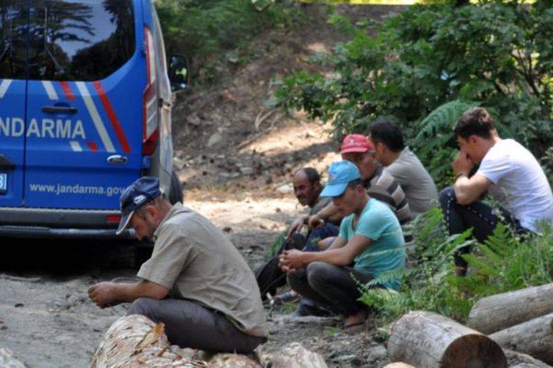 Devrilen Traktörün Altında Kalan Orman İşçisi Öldü