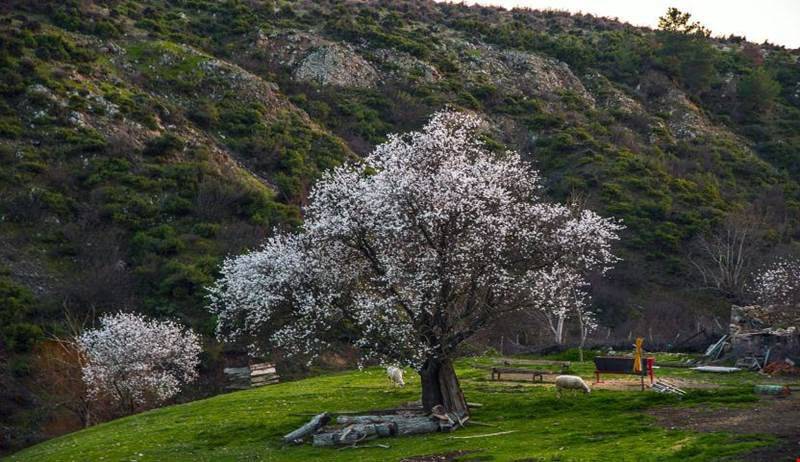 Bayramiç ve Turizm