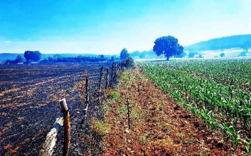 Bayramiç'te Çıkan Yangın Kontrol Altına Alındı