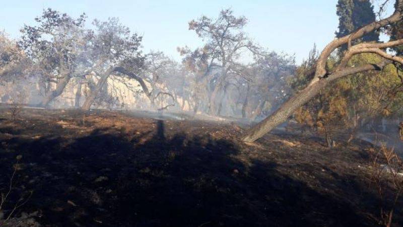 Çanakkale'de Ot Yangını Binaya Sıçradı 