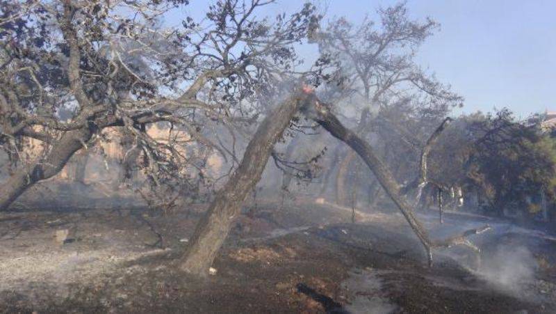 Çanakkale'de Ot Yangını Binaya Sıçradı 