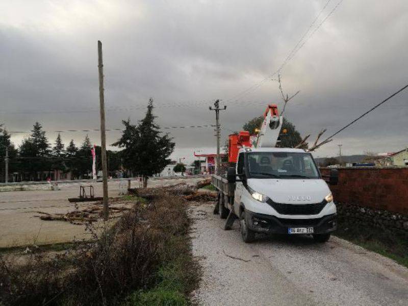Çanakkale’de Lodos Fırtınası Ağaçları Devirdi