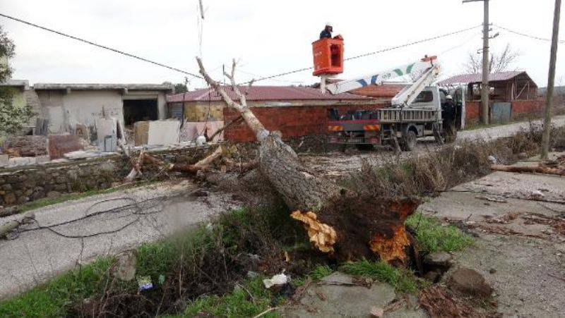 Çanakkale’de Lodos Fırtınası Ağaçları Devirdi