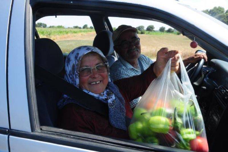 Yol Kenarındaki Tarlasında Yetişen Ürünleri Ücretsiz Veriyor