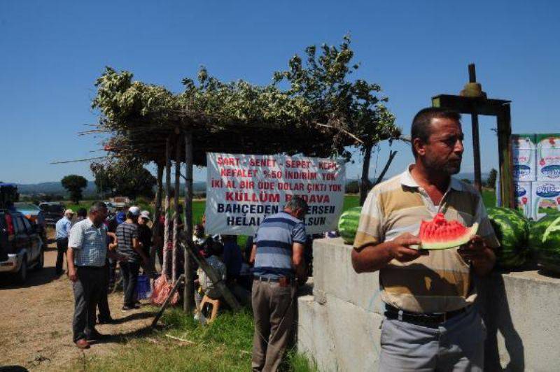 Yol Kenarındaki Tarlasında Yetişen Ürünleri Ücretsiz Veriyor