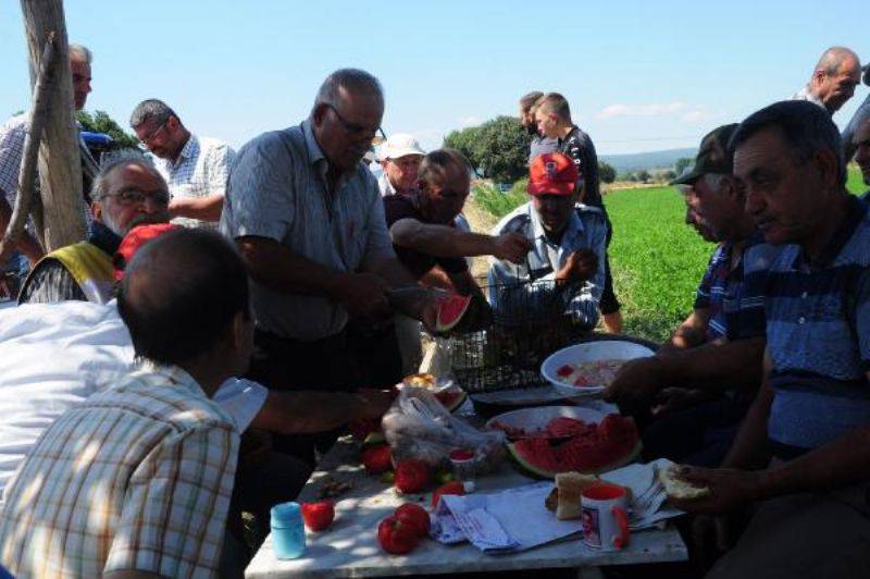 Yol Kenarındaki Tarlasında Yetişen Ürünleri Ücretsiz Veriyor