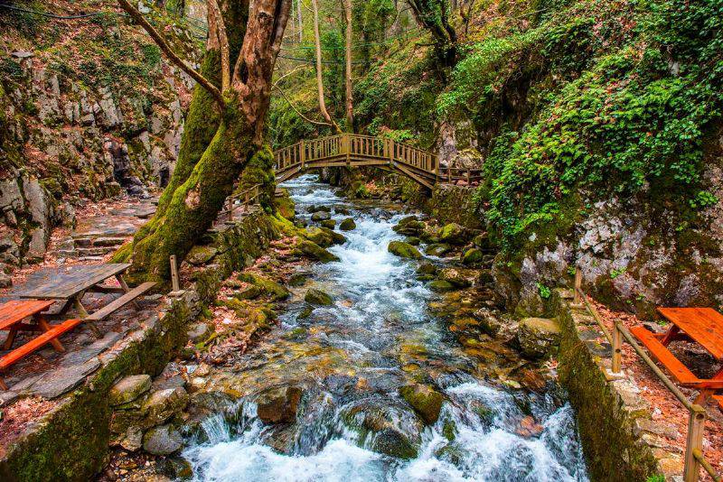 Kaz Dağları / Ayazma