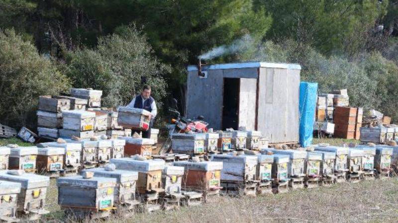 Barakada Kalıyor, Arılarla Yatıp Arılarla Kalkıyor