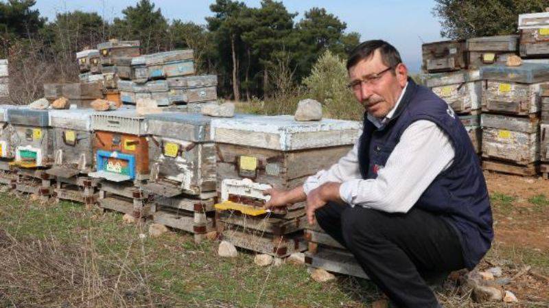 Barakada Kalıyor, Arılarla Yatıp Arılarla Kalkıyor