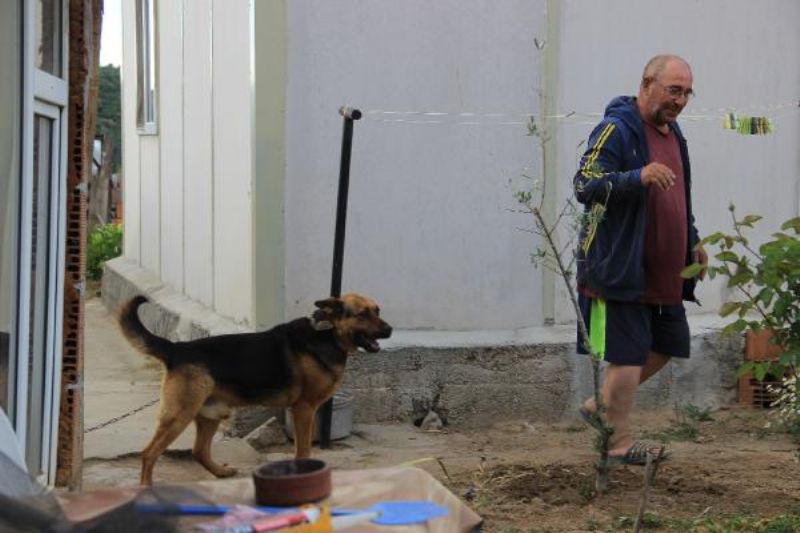 Kurt Köpeği, Eve Girmeye Çalışan 2 Metrelik Yılanı Parçaladı