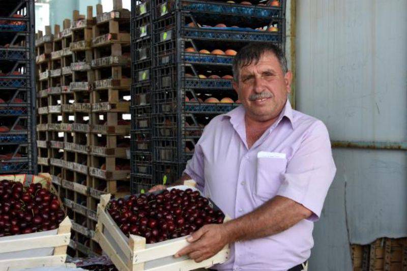 Lapseki'de Kirazla Yüzü Gülen Üretici, Şeftaliden de Umutlu