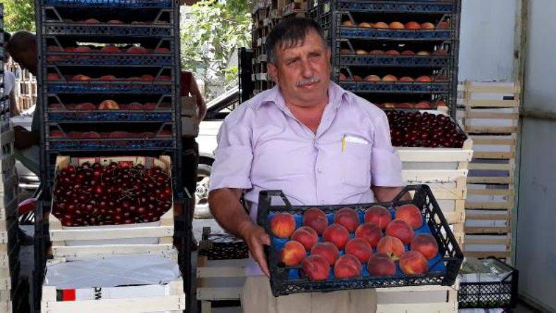 Lapseki'de Kirazla Yüzü Gülen Üretici, Şeftaliden de Umutlu