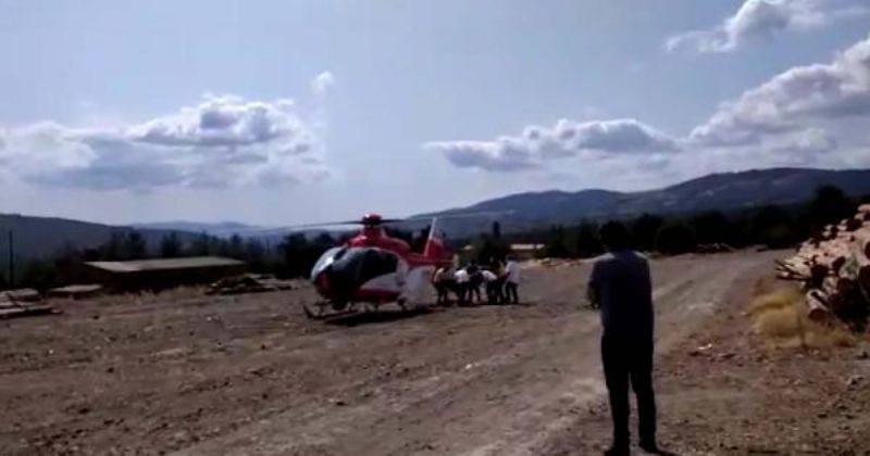 Üzerine Tomruk Düşmesiyle Yaralandı, Ambulans Helikopterle Sevk Edildi